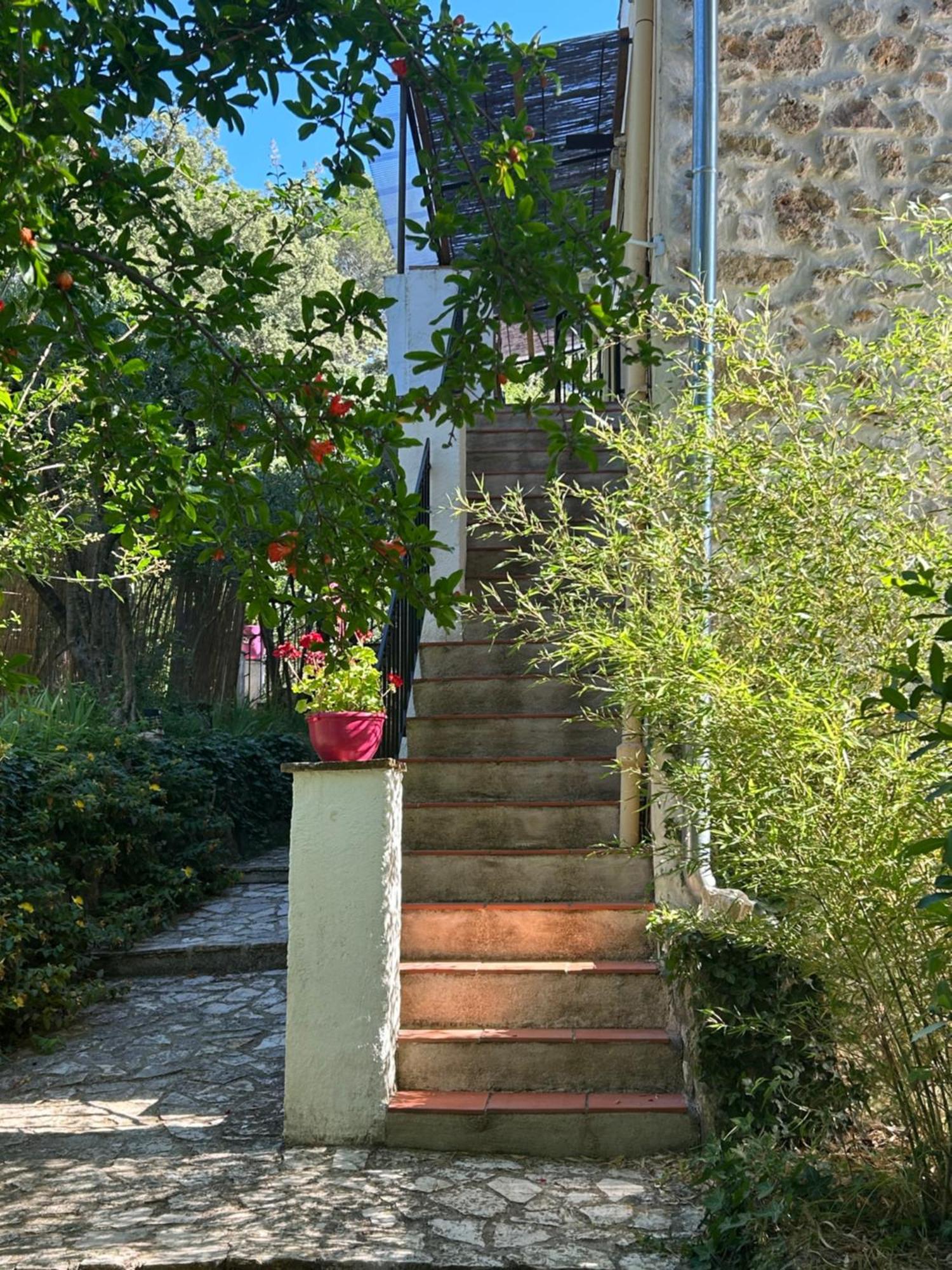 Bastide Des Hesperides Flayosc Exterior foto